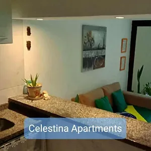  Apartamento No Centro De Brasil